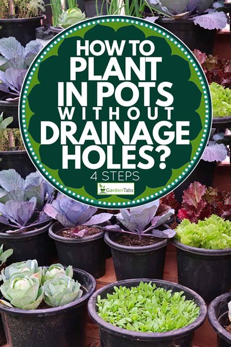 This enables the roots to grow without any obstacles through the pot walls into the nutrient solutions. How To Plant In Pots Without Drainage Holes? [4 Steps ...