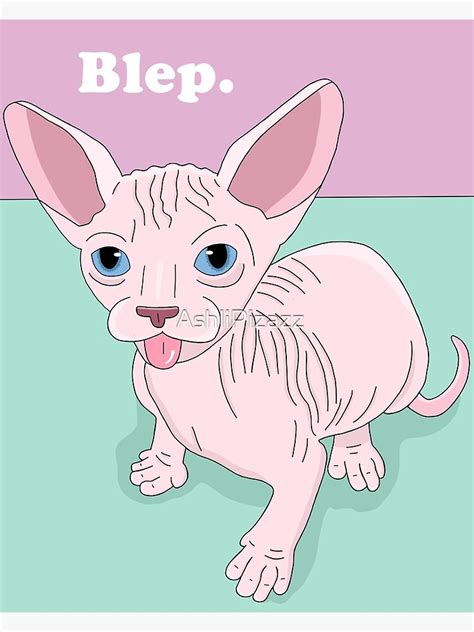 Hairless Cat Blep Poster By Ashlipizazz Redbubble
