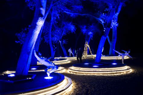Photos Enchanted Forest Of Light At Descanso Gardens Daily News