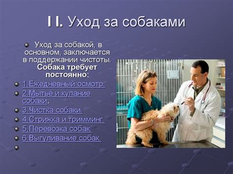 Содержание и уход за собаками. Лекция №4 - презентация онлайн