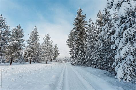 Snow Covered Driveway By Stocksy Contributor Justin Mullet Stocksy