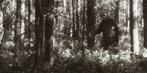 Bigfoot Is Wandering Michigan Mans Property And Eating Pizza He