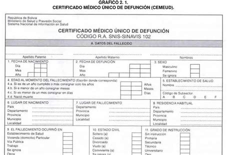Modelo De Llenado De Certificado Medico Peru Financial Report Hot Sex