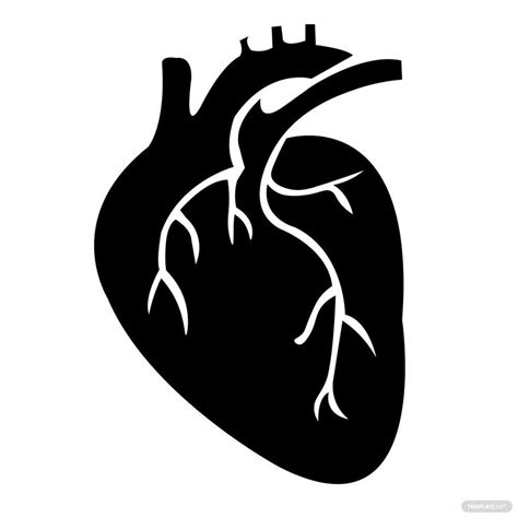 Anatomical Heart Silhouette In Psd Illustrator Svg  Eps Png
