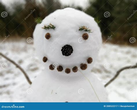 Close Up Of Smiling Snowman Face In Winter In Wisconsin Stock Image
