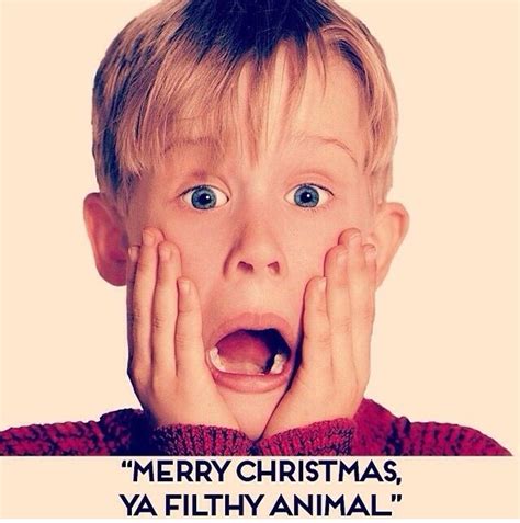 Home Alone Christmas Quotes Quotesgram