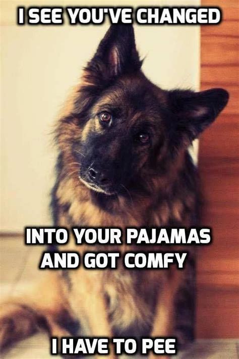 Awesome German Shepherd Info Is Offered On Our Website Take A Look And