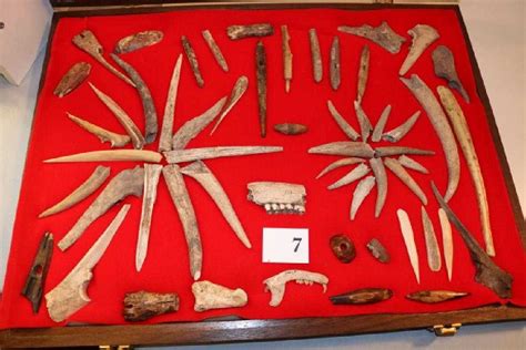 52 Antler Bone Artifacts No Shipping Out Of Country