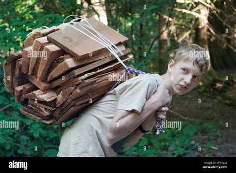 Teenage Boy Carrying Firewood In Forest Stock Photo Alamy