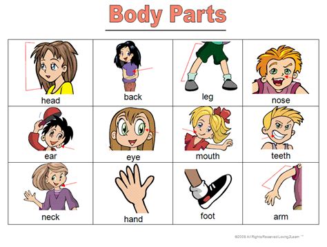 Teaching Body Parts Las Partes Del Cuerpo En Inglés