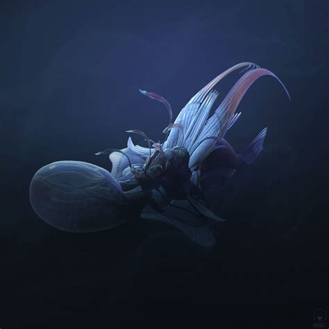 Alien Squid 02 Tyler Smith On Artstation At