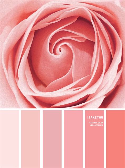 Color Inspiration Rose Pink Tones Color Palette Pink Orange Color
