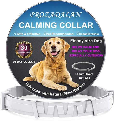 9 Best Natural Dog Calming Products Pawsify