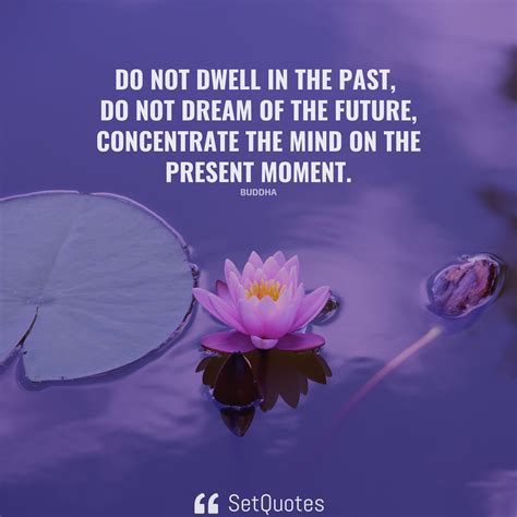 Do Not Dwell In The Past Do Not Dream Of The Future Concentrate The