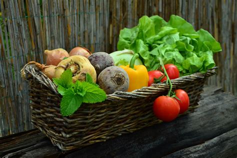 Free Photo Vegetable Basket Agriculture Basket Eat Free Download