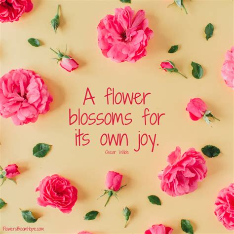 Blossom For Joy Flowers Bloom Hope