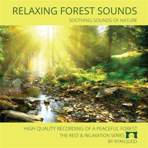 Relaxing Forest Sounds Soothing Sounds Of Nature Album By Ryan Judd