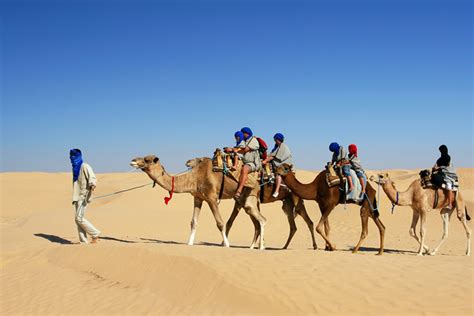 Paseo En Camello Guia Viajes Marruecos