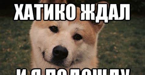 Фото тех кто смог похудеть