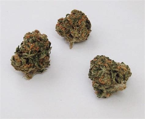 Problem is that some of the strains people use for their conditions can be too overwhelming for some. Buy Hybrid Medical Marijuana Strains Online - Voted Best ...