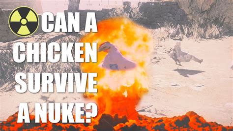 Myth Buster Episode 1 Modern Warfare Can Chickens Survive A Nuke