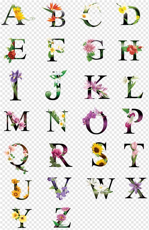Abcs Lowercase Alphabet Collection Floral Alphabetical Decor Text