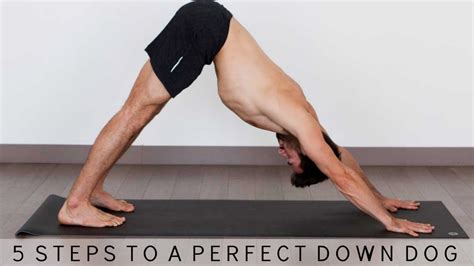 ️ 5 Steps To Perfect Down Dog And 3 Legged Downward Dog Yoga With Tim