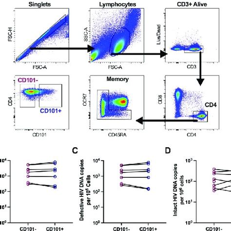 Hiv Dna Levels In Sorted Memory Cd4 T Cells A Sorting Strategy For