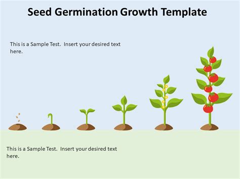 Seed Germination Growth Powerpoint Template Slide Slidevilla
