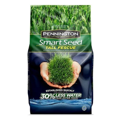 3 Lb Smart Seed Tall Fescue Grass Seed