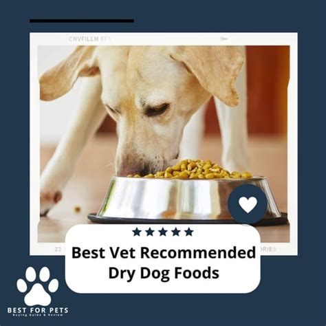 The 9 Best Vet Recommended Dry Dog Foods Of 2023