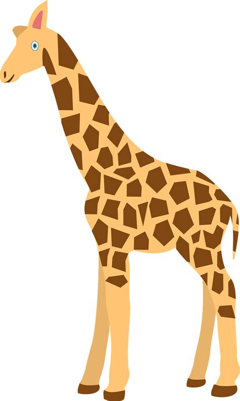 Giraffe Animal Mammal Free Vector Graphic On Pixabay