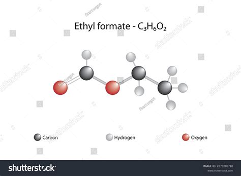 Molecular Formula Ethyl Formate Ethyl Formate Stock Vector Royalty