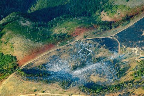 Pine Gulch Fire Exclusive Aerial Photos Of Colorados Second Largest