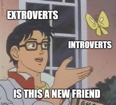 Introverts Dont Make Friends They Get Adopted By Extroverts Imgflip