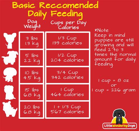 Up to 16 weeks old: How Much Should Small Dogs Eat? • little wandering dogs