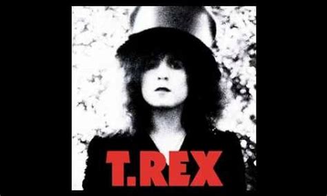 The Slider 50th Anniversaty Picture Disc T Rex Lp Music Mania