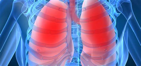 Plicní hypertenze je definována jako abnormální vzestup krevního tlaku v plicních cévách. Plicní hypertenze » Medixa.org