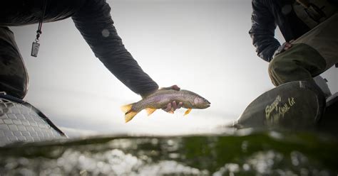 Behind The Scenes The Fly Rod Chronicles Field And Stream