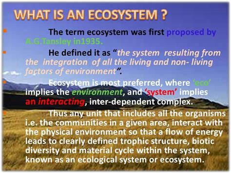 Structure And Function Of Ecosystem 1