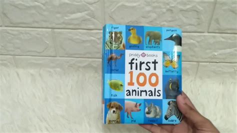 First 100 Animals Board Book Youtube