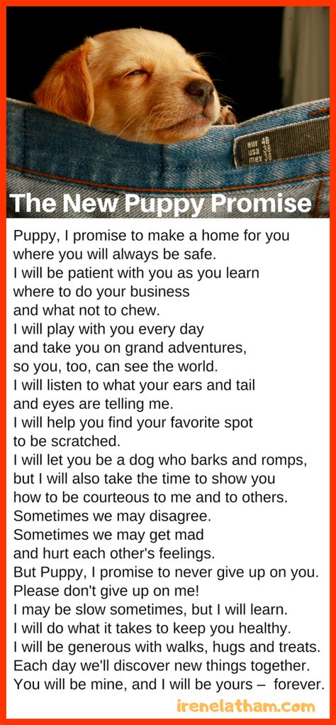 Live Your Poem The New Puppy Promise Poem