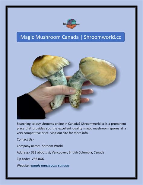 Ppt Magic Mushroom Canada Shroomworldcc Powerpoint Presentation