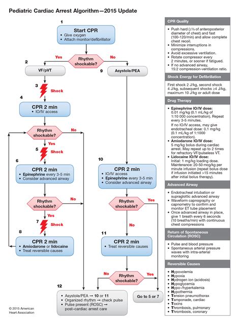 Pin En Pals And Acls Review