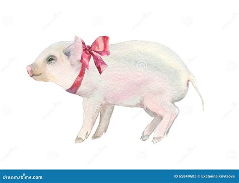 Watercolor Pink Pig Stock Illustration Illustration Of Little 65849685