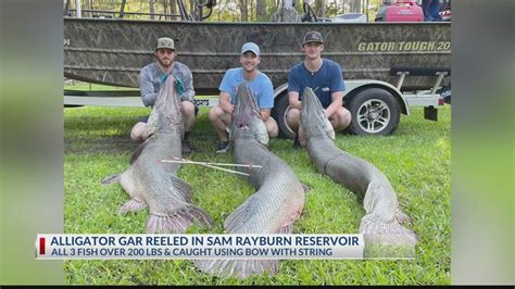 East Texans Catch Three Large Alligator Gar At Sam Rayburn Reservoir Youtube