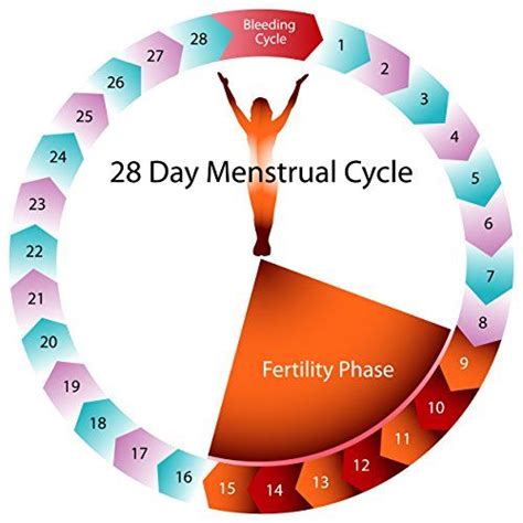 Lady Comp Fertility Monitor Fahrenheit Irregular Menstrual Cycle