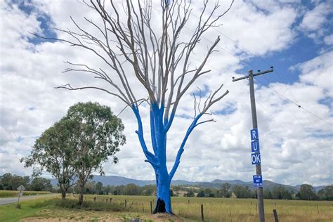 R U Ok Trees Painted Blue Spark Talking Point Around Depression In