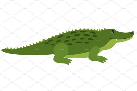 Vector Crocodile Vector Isolated Cartoon Alligator African Gator On