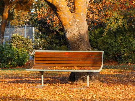 Free Images Autumn Park Bench Victoria